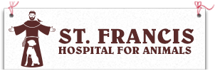 St Francis Hospital For Animals